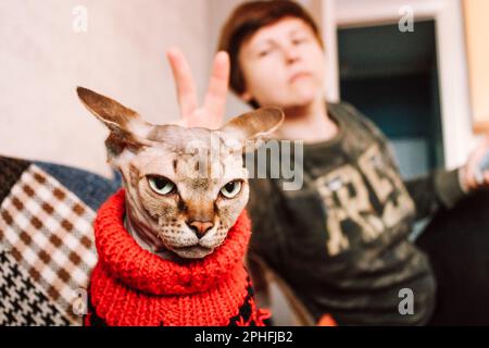 Bald chat dans un pull rouge chaud tricoté vintage à l'intérieur rétro. Sphynx canadien dans les vêtements pour animaux domestiques. Animal sans poils à l'intérieur avec une mise humaine Banque D'Images