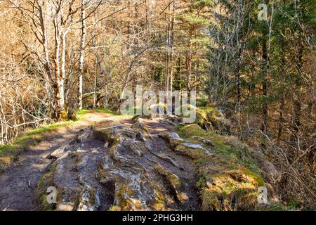 Glen COE Highland Scotland signal Rock Trail le sommet plat du signal rock Banque D'Images