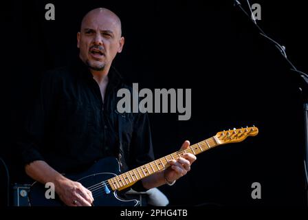 Baz Warne - The Stranglers, V2008, Hylands Park, Chelmsford, Essex, Royaume-Uni - 17 août 2008 Banque D'Images