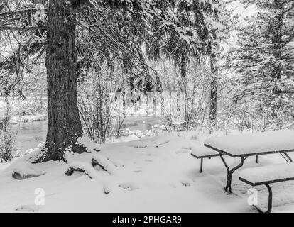 Arbres et table de pique-nique couverts de neige Banque D'Images