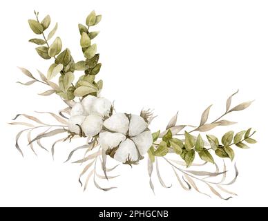 Branches d'eucalyptus et fleurs de coton avec plantes séchées. Illustration florale dessinée à la main sur un arrière-plan isolé. Composition en coin pour les cartes de vœux ou les invitations de mariage. Dessin botanique. Banque D'Images