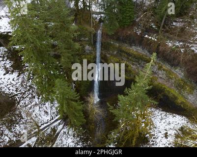 Silver Creek coule au-dessus d'une belle cascade près de Silverton, Oregon. Cette région pittoresque et fortement boisée possède de nombreuses cascades impressionnantes. Banque D'Images