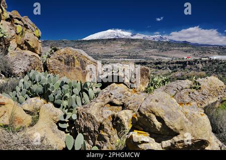 Paysage avec l'Etna couvert de neige blanche, de rochers et de cactus de poire pirickly des rochers abri de 'Ripararo Del Cassataro' un evide de préhistoire Banque D'Images