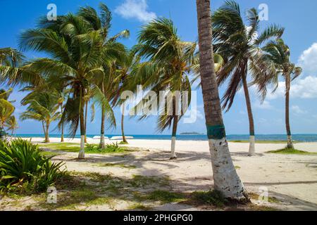 Plage principale à l'île de San Andrés, Colombie, Amérique du Sud Banque D'Images