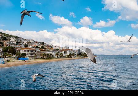 L'île des Princes Buyukada est la plus grande station balnéaire de la mer de Marmara, à Istanbul Banque D'Images