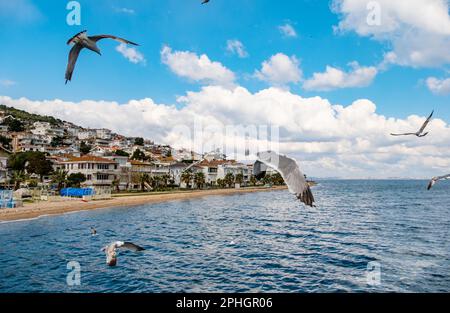 L'île des Princes Buyukada est la plus grande station balnéaire de la mer de Marmara, à Istanbul Banque D'Images