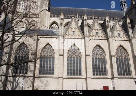 Gros plan de la façade du Grote kerk à Breda aux pays-Bas Banque D'Images