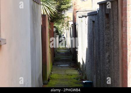 ancienne entrée arrière étroite entre les maisons victoriennes mitoyennes mitoyennes de strandtown, est belfast, nord de l'irlande, royaume-uni Banque D'Images