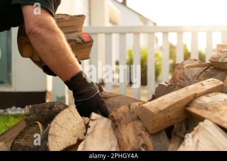 Dans le jardin se trouve une pile de bois de hêtre qui ont été livrés. Un homme se plie et soulève une armue de grumes pour le prendre à la tablette de bois de chauffage. Fermer Banque D'Images