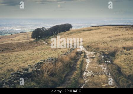 White Coppice, Great Hill et Anglezarke Circular est un circuit de 9,2 km situé près de Chorley, Lancashire, Angleterre qui dispose d'un lac et est évalué Banque D'Images