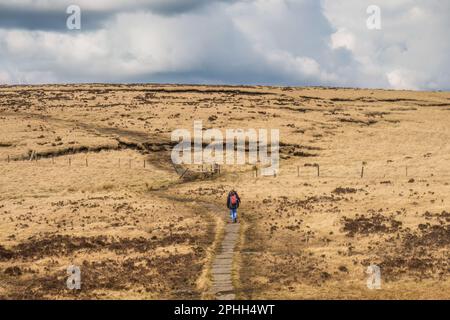 White Coppice, Great Hill et Anglezarke Circular est un circuit de 9,2 km situé près de Chorley, Lancashire, Angleterre qui dispose d'un lac et est évalué Banque D'Images