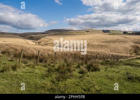 White Coppice, Great Hill et Anglezarke Circular est un circuit de 9,2 km situé près de Chorley, Lancashire, Angleterre qui dispose d'un lac et est évalué Banque D'Images