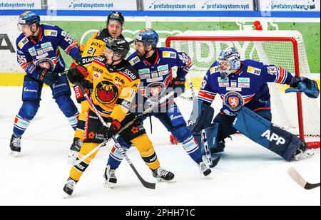 VŠxjš, Suède, 28 mars, 2023 quart de finale 7 VŠxjš Lakers - LuleŒ HF Vaxjo Lakers gagne de 2 à 1 et se qualifie ainsi pour la demi-finale. Credit: PEO Mšller/Alamy Live News Banque D'Images