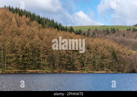 Réservoir Ladybower dans la vallée supérieure de Derwent, parc national de Peak District, lors d'une journée de printemps ensoleillée. Banque D'Images