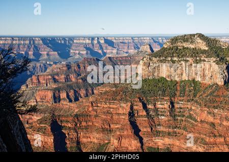 Vue panoramique sur le plateau nord du Grand Canyon depuis Bright Angel point, Arizona, États-Unis Banque D'Images