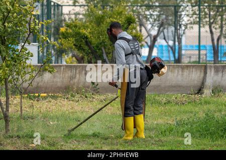 Jardinier fauchant de l'herbe avec des scythe motorisés dans le jardin. (bush) scythe Banque D'Images