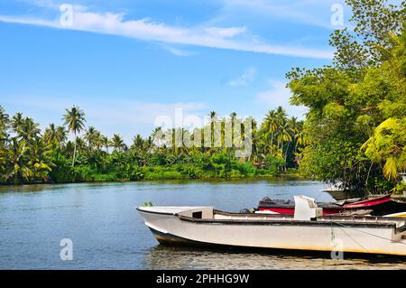 Belle vue sur le lac Bentota, Sri Lanka, par une journée ensoleillée et claire Banque D'Images