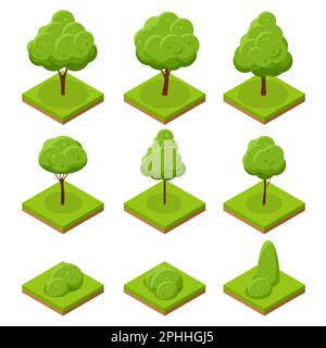 Arbres et buissons isométriques. Collection d'arbres isolés sur fond blanc. Pour les infographies, les jeux et le design Illustration de Vecteur