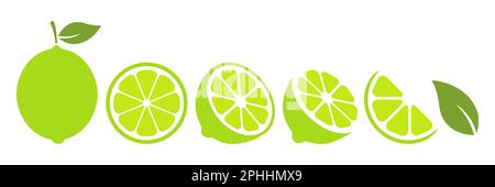 Ensemble de tranches de citron vert. Collection de fruits verts aux agrumes. Illustration de Vecteur