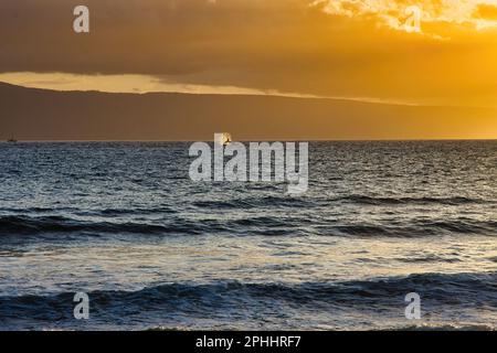 La baleine à bosse de Distanrt claque sa queue vigoureusement au coucher du soleil sur maui. Banque D'Images