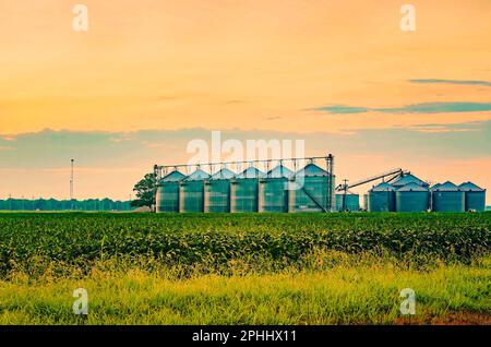 Le soleil se lève au-dessus des silos à grains d'acier dans le delta du Mississippi, le 8 août 2016, à Cleveland, Mississippi. Banque D'Images