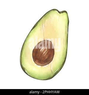 Aquarelle fraîche avocat réaliste. Illustration dessinée à la main, isolée sur fond blanc. Menu alimentaire parfait, dessin alimentaire, emballage design. Banque D'Images