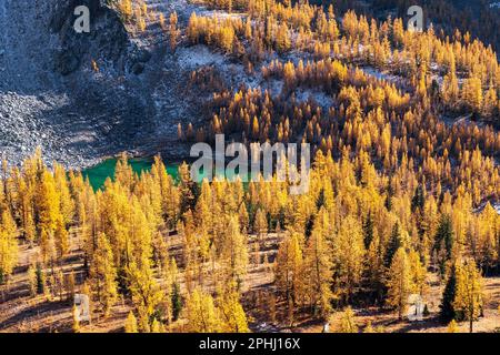 Sunrise illumine les larches dorées autour d'un lac alpin dans la chaîne Chelan Sawtooth. Cascade Mountains, Washington. Banque D'Images