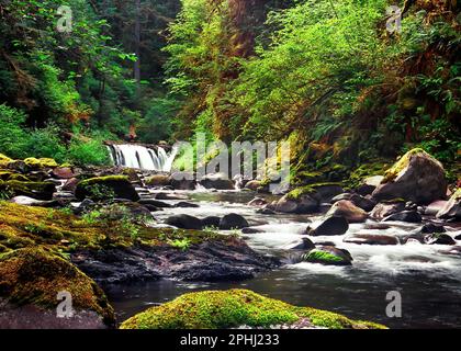 Punchbowl Falls sur le sentier Eagle Creek Trail. Gorge de la rivière Columbia, Oregon, États-Unis Banque D'Images