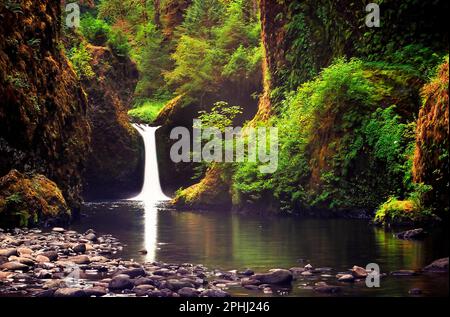 Punchbowl Falls sur le sentier Eagle Creek Trail. Gorge de la rivière Columbia, Oregon, Australie occidentale Banque D'Images