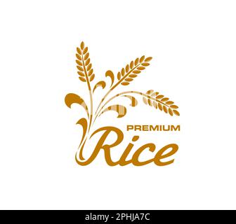 Icône de riz, badge vectoriel isolé avec des épillets dorés, des grains et des feuilles. Étiquette alimentaire de céréales pour l'emballage de production. Riz de qualité supérieure pour la récolte, le cultiva Illustration de Vecteur