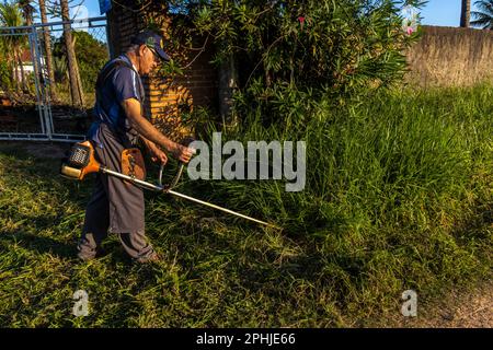 Marilia, Sao Paulo, Brésil, 22 mars 2023. L'ouvrier, avec un couteau manuel à brosse à essence, coupe les mauvaises herbes qui ont grandi avec les pluies devant la porte Banque D'Images