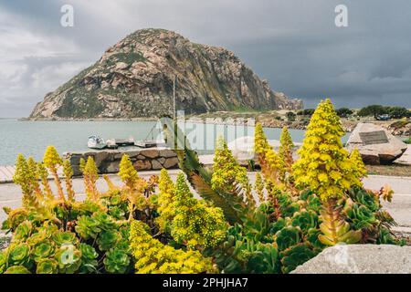 Morro Bay, Californie, États-Unis - 22 mars 2023. Morro Rock, une prise volcanique dans la baie de Morro, sur la côte du Pacifique à l'entrée du port de Morro Bay, cal Banque D'Images