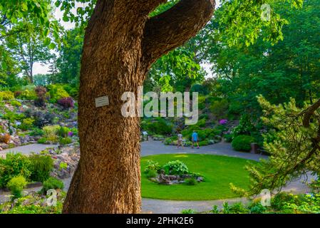 Jardin botanique de l'Université de Tartu en Estonie. Banque D'Images