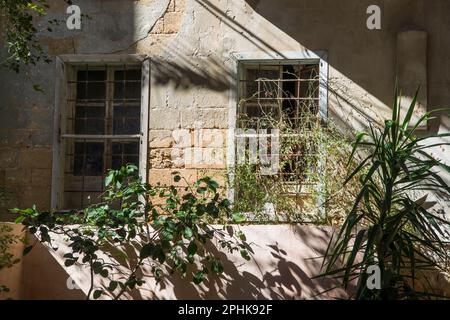 Maison déserte Tyr Liban Moyen-Orient Banque D'Images