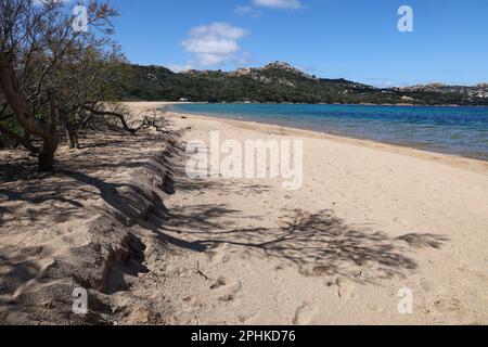 Palau est une commune italienne de la province de Sassari en Sardaigne, au nord-ouest d'Olbia. Côte de mer des Rocheuses d'Italie avec plage de sable bleu. Banque D'Images