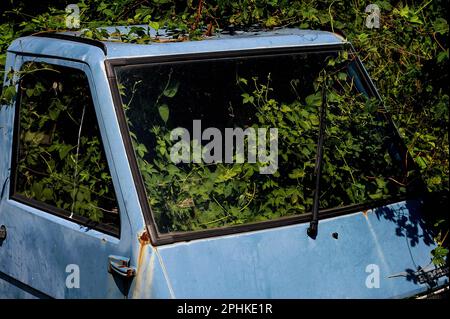 Transformation écologique et prise de contrôle … La nature reprend le contrôle à l'intérieur de la cabine d'un pick-up à trois roues Piaggio APE délabré et abandonné, basé sur le célèbre Vespa scooter et nommé d'après le mot italien « abeille », en pourrissant près de Pont-Saint-Martin dans les contreforts alpins de la vallée d'Aoste ou d'Aoste dans le nord-ouest de l'Italie. Banque D'Images