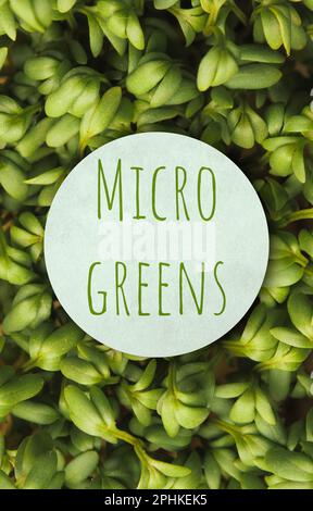 Cresson frais bio avec le texte micro greens sur une étiquette en utilisant comme fond ou couverture de livre, nourriture saine, vue d'en haut Banque D'Images