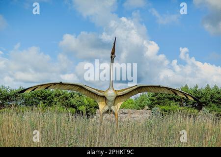 Parc dinozaurów W Łebie W północnej Polsce nad morzem Bałtyckim. Banque D'Images