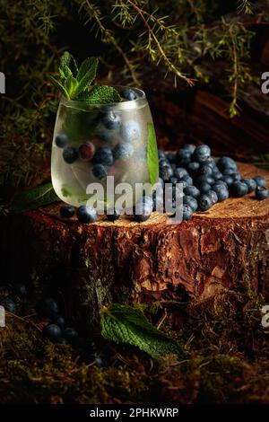 Cocktail de gin et de tonique aux myrtilles et à la menthe. Une boisson rafraîchissante glacée sur une vieille souche avec de la mousse et des branches de genévrier. Banque D'Images