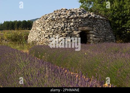 Paysage de lavande et de borie. Ferrassières, Drôme, France Banque D'Images