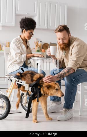 Homme barbu tenant une tasse près d'un chien handicapé et d'une petite amie afro-américaine utilisant un ordinateur portable à la maison, image de stock Banque D'Images