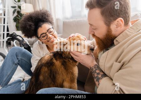 Homme barbu piquant chien handicapé près de l'amie afro-américaine joyeuse dans la salle de séjour, image de stock Banque D'Images