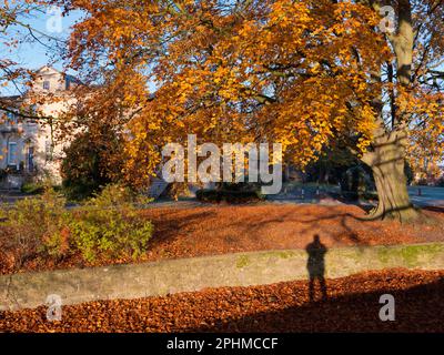 Mon ombre au milieu des couleurs vibrantes de l'automne à Bury Knowle Park, Oxford Banque D'Images