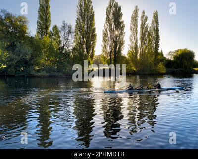 Le quai de Saint Helen est un point de beauté réputé sur la Tamise, juste en amont du pont médiéval d'Abingdon-on-Thames. Le quai était pour centurie Banque D'Images