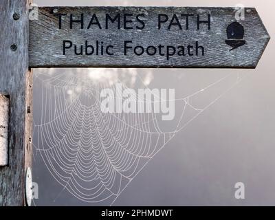 Le sentier de la Tamise près de la promenade à bateaux du Radley College, illuminé par les premiers rayons d'un lever de soleil trouble. Un matin d'automne brumeux laisse incroyablement beau spi Banque D'Images