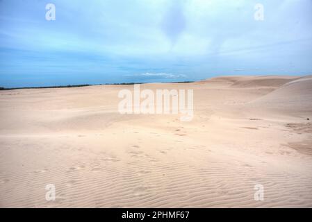 Dunes de sable de Rabjerg Mile au Danemark Banque D'Images