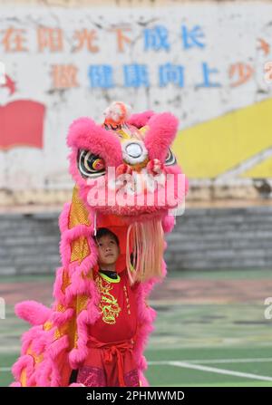 (230329) -- WUZHOU, 29 mars 2023 (Xinhua) -- Un étudiant pratique la danse du lion dans une école primaire du comté de Tengxian de Wuzhou, dans la région autonome du Guangxi Zhuang, au sud de la Chine, à 28 mars 2023. La danse du lion de Tengxian, classée au patrimoine culturel intangible national, est une combinaison d'arts martiaux, de danse, de musique et d'acrobaties. Ces dernières années, le comté de Tengxian a activement intégré la danse du lion avec des cours dans les jardins d'enfants et les écoles, dans le but de transmettre cette forme d'art traditionnel aux jeunes générations. (Xinhua/Huang Xiaobang) Banque D'Images