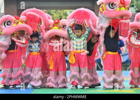 (230329) -- WUZHOU, 29 mars 2023 (Xinhua) -- les enfants se préparent à pratiquer la danse du lion dans un jardin d'enfants du comté de Tengxian de Wuzhou, dans la région autonome du Guangxi Zhuang, au sud de la Chine, à 28 mars 2023. La danse du lion de Tengxian, classée au patrimoine culturel intangible national, est une combinaison d'arts martiaux, de danse, de musique et d'acrobaties. Ces dernières années, le comté de Tengxian a activement intégré la danse du lion avec des cours dans les jardins d'enfants et les écoles, dans le but de transmettre cette forme d'art traditionnel aux jeunes générations. (Xinhua/Huang Xiaobang) Banque D'Images