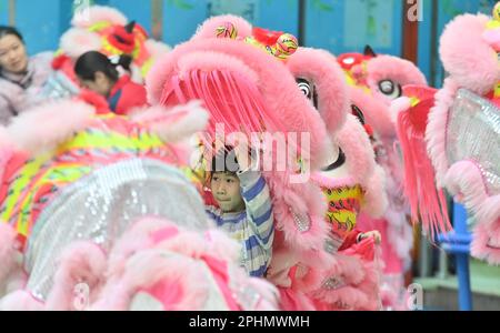 (230329) -- WUZHOU, 29 mars 2023 (Xinhua) -- les enfants pratiquent la danse du lion dans un jardin d'enfants du comté de Tengxian de Wuzhou, dans la région autonome du Guangxi Zhuang, au sud de la Chine, à 28 mars 2023. La danse du lion de Tengxian, classée au patrimoine culturel intangible national, est une combinaison d'arts martiaux, de danse, de musique et d'acrobaties. Ces dernières années, le comté de Tengxian a activement intégré la danse du lion avec des cours dans les jardins d'enfants et les écoles, dans le but de transmettre cette forme d'art traditionnel aux jeunes générations. (Xinhua/Huang Xiaobang) Banque D'Images