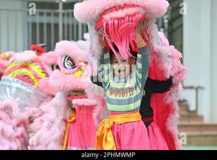 (230329) -- WUZHOU, 29 mars 2023 (Xinhua) -- les enfants pratiquent la danse du lion dans un jardin d'enfants du comté de Tengxian de Wuzhou, dans la région autonome du Guangxi Zhuang, au sud de la Chine, à 28 mars 2023. La danse du lion de Tengxian, classée au patrimoine culturel intangible national, est une combinaison d'arts martiaux, de danse, de musique et d'acrobaties. Ces dernières années, le comté de Tengxian a activement intégré la danse du lion avec des cours dans les jardins d'enfants et les écoles, dans le but de transmettre cette forme d'art traditionnel aux jeunes générations. (Xinhua/Huang Xiaobang) Banque D'Images